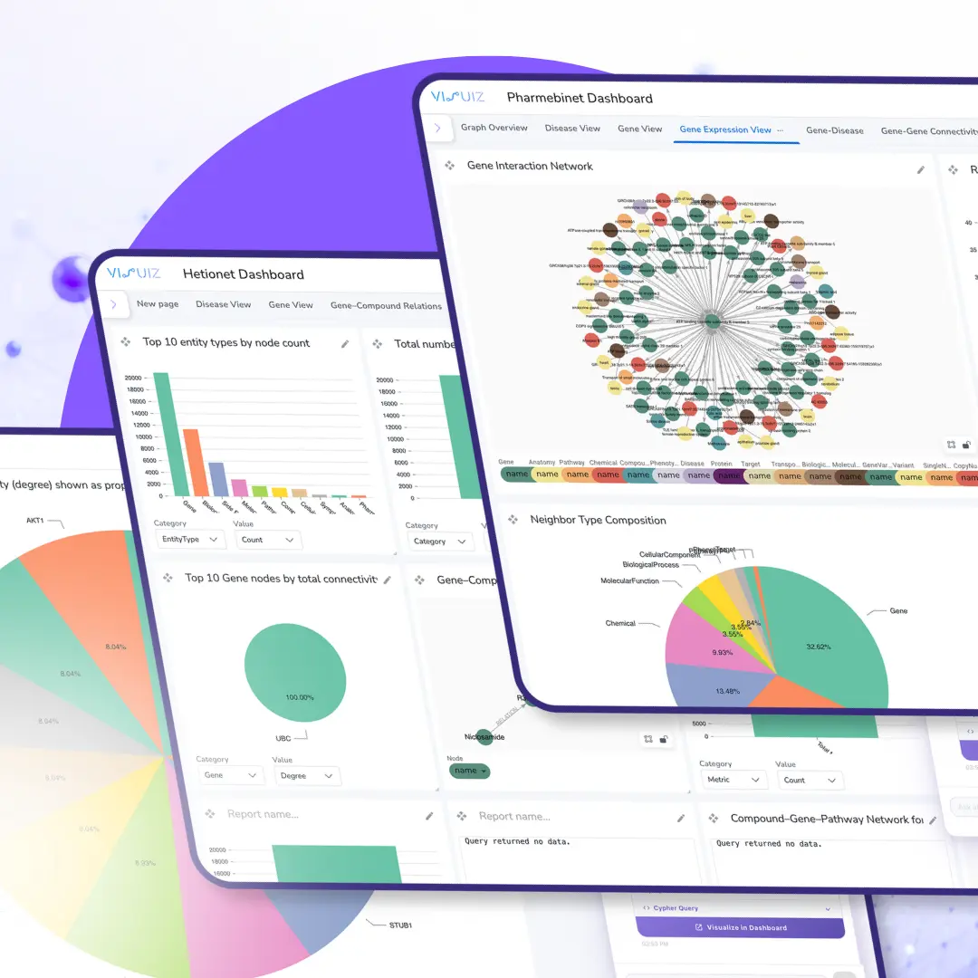 Visuiz | Graph Analytics